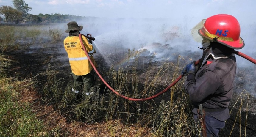  Siete localidades correntinas registran focos activos de incendios forestales 