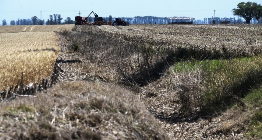  Casi el 55% del territorio nacional se encuentra bajo condición de sequía 