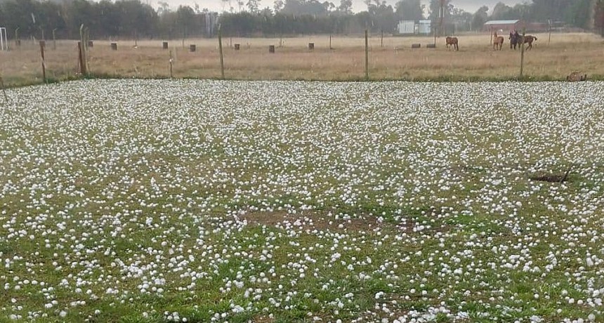  Una fuerte granizada afectó vastas zonas productivas del este de Mendoza 