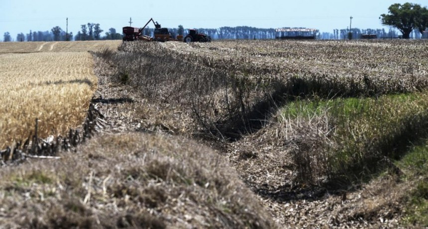  Declaran o prorrogan la emergencia y el desastre agropecuario en once provincias 
