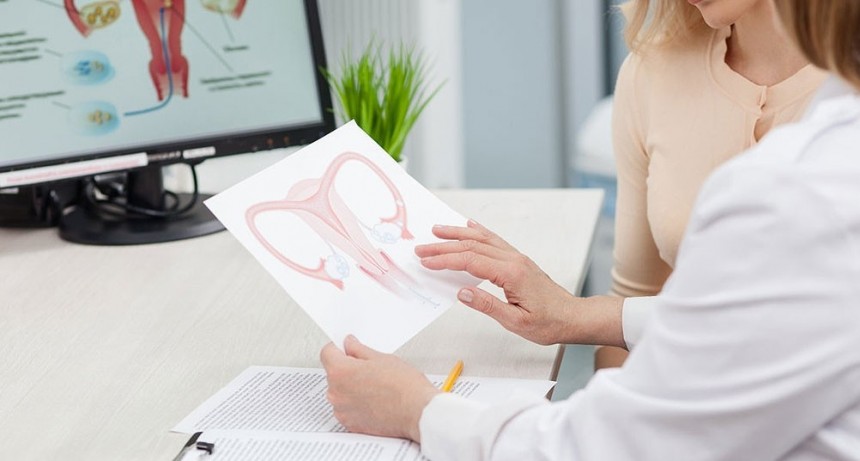  Según un estudio, los microbiomas son indicadores para la detección precoz del cáncer de ovarios 
