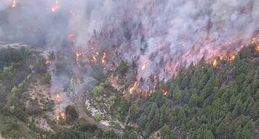  Más de 60 brigadistas trabajan para contener un incendio forestal en Cuesta del Ternero 