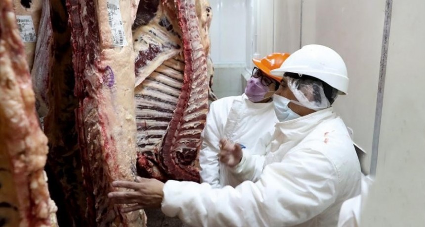  Argelia habilitó la exportación de carne con hueso desde la Argentina 
