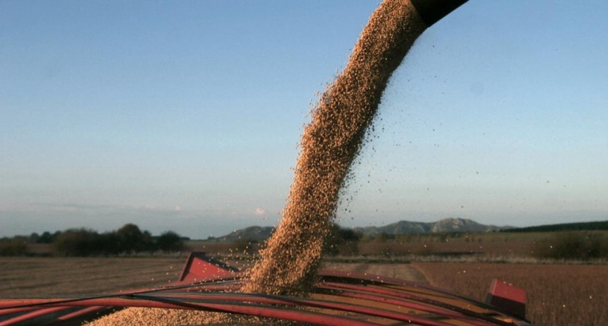  Con el frente climático despejado, el campo espera reglas claras y previsibles para 2024 