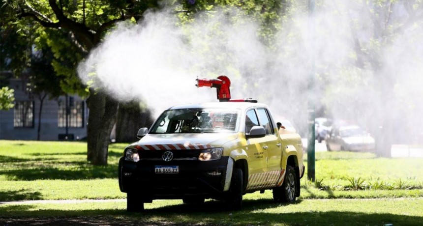  Reforzaron la desinsectación en espacios verdes porteños por la invasión de mosquitos 