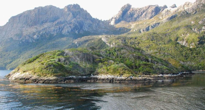  Argentina instalará una estación científica subantártica en la Isla de los Estados 