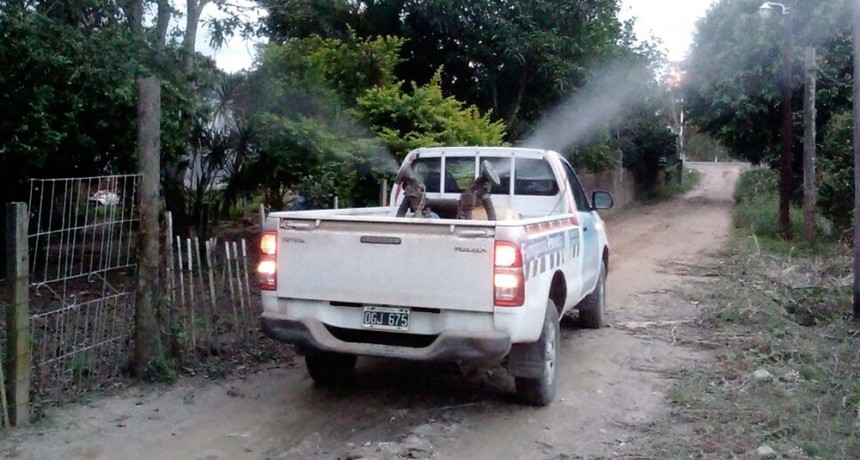  Dengue en Formosa: se detectaron más de 800 casos positivos en la última semana 