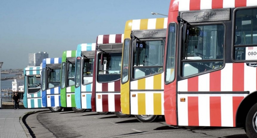  Mar del Plata sin colectivos en plena temporada por un paro 