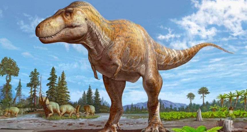  Tyrannosaurus mcraeensis: el pariente más cercano del Tyrannosaurus rex 