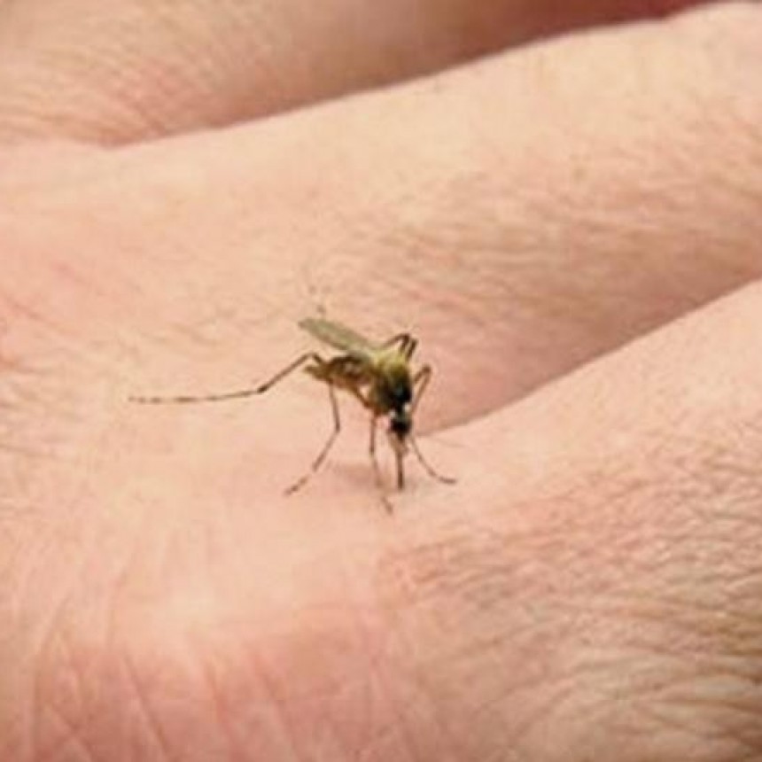  Más de 70 ciudades de Entre Ríos coordinaron acciones contra el dengue 