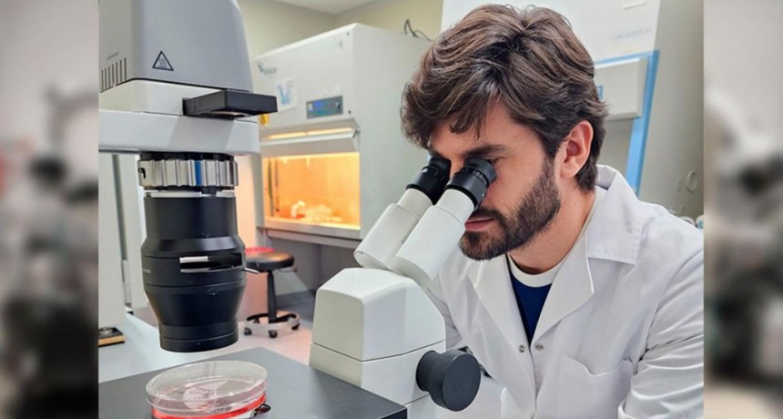  Identificaron un nuevo mecanismo de regeneración del tejido pulmonar dañado por infecciones 