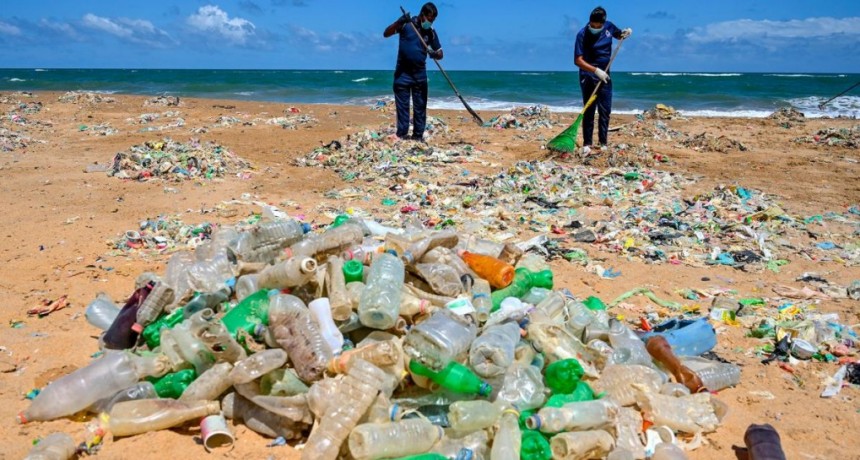  El 24% de los químicos presentes en los plásticos son de 