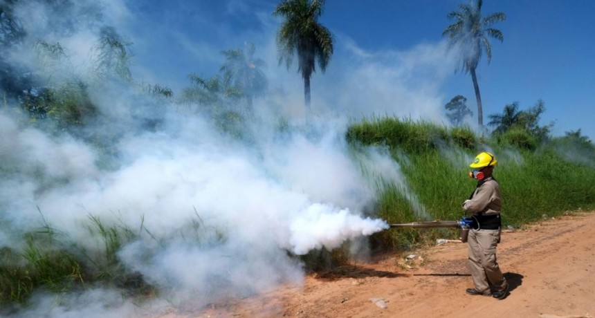  Solicitaron la Emergencia Sanitaria y vacunación gratuita contra el dengue en Corrientes 