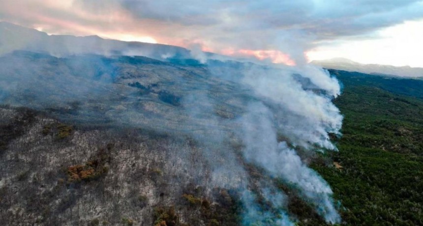  El incendio forestal en el Parque Nacional Los Alerces ya arrasó 577 hectáreas 
