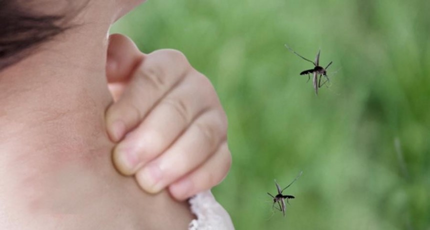  Entre Ríos suma nuevos casos de encefalitis equina en humanos 
