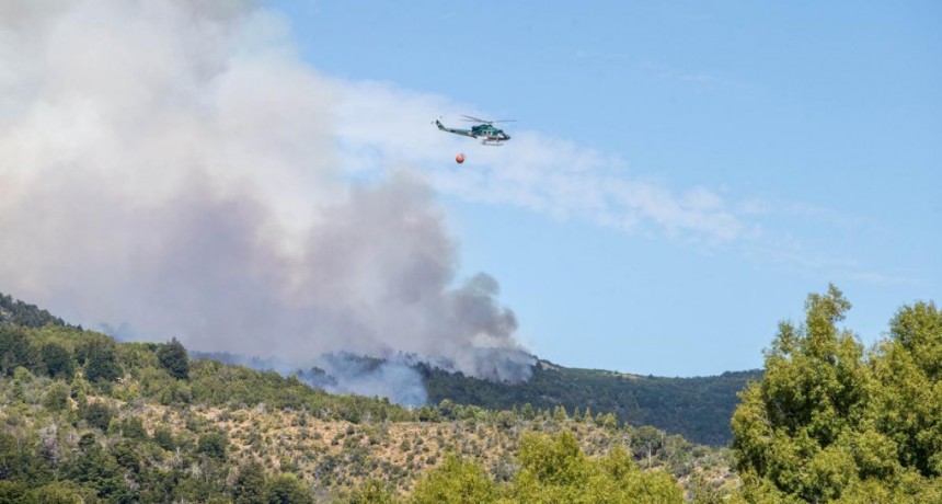  El viento complica el incendio en el Parque Nacional Los Alerces 