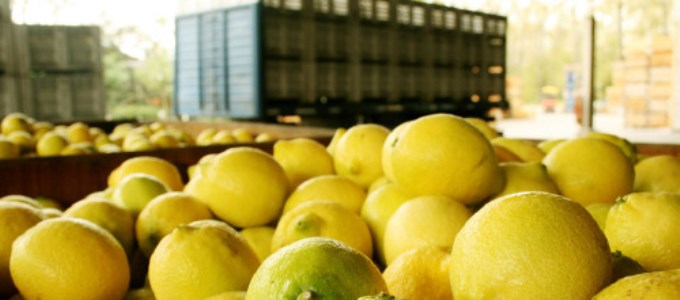 Cinco veces más caro en la góndola que en el campo