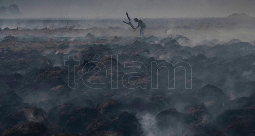La sequía propició que los incendios pongan en riesgo la biodiversidad del Iberá