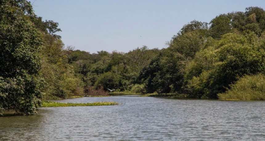  Impulsan un nuevo parque provincial en las islas del río Uruguay 