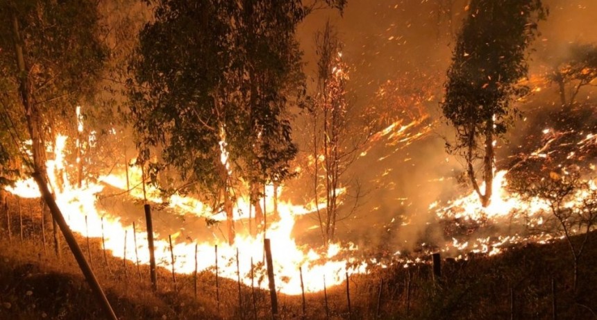  El gobierno de Chile confirmó cuatro víctimas fatales por incendios forestales 