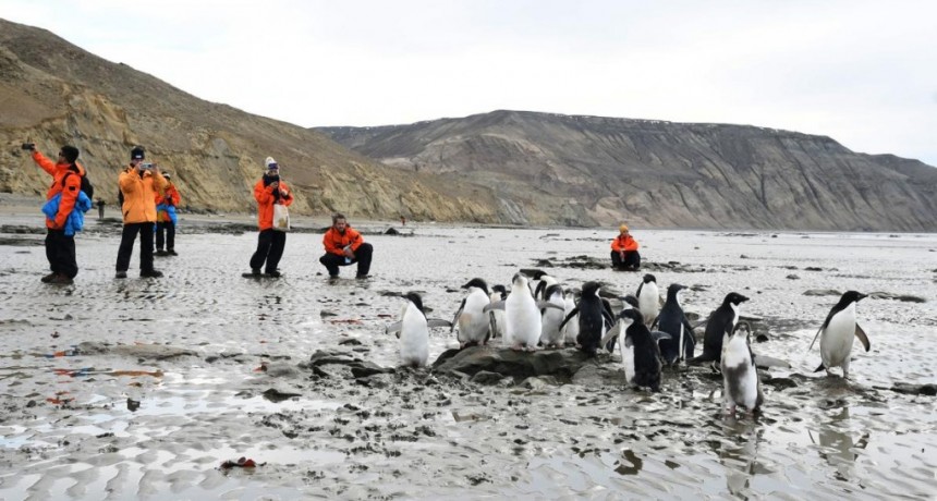  Un recorrido por la isla Marambio para conocer un territorio remoto de Argentina 