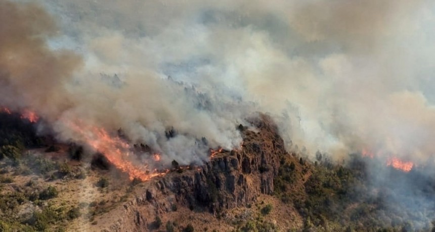  Un incendio de bosques se extiende en el Parque Nacional Los Alerces 