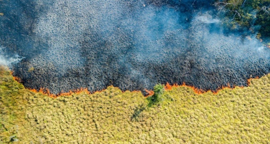  Brigadistas de diversos puntos del país combaten dos focos de incendio en el Iberá 