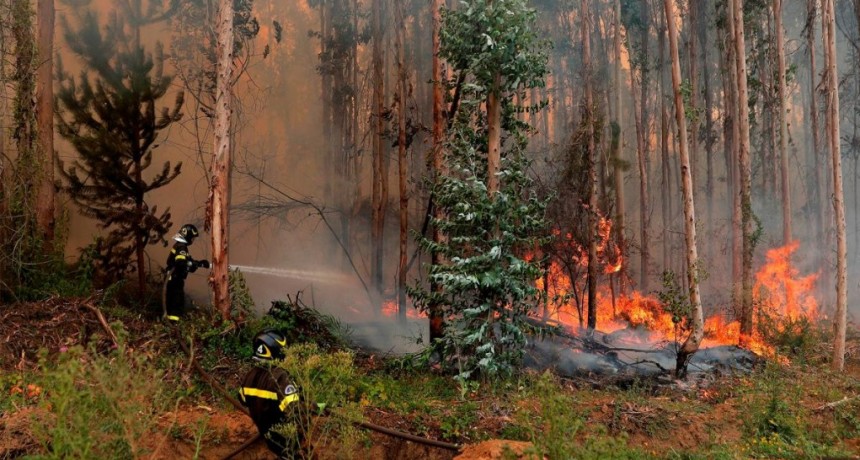  Toque de queda en algunas de las zonas afectadas por los incendios en Chile 