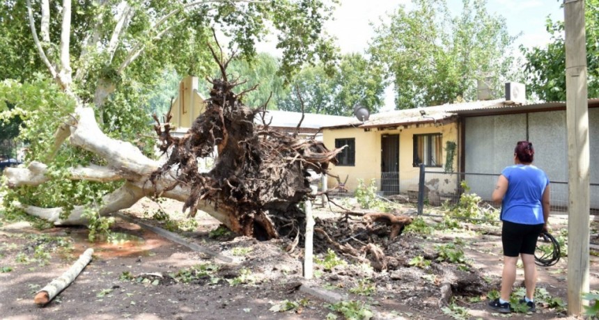  Santiago del Estero: fuerte tormenta provocó voladuras de techos y caída de árboles 
