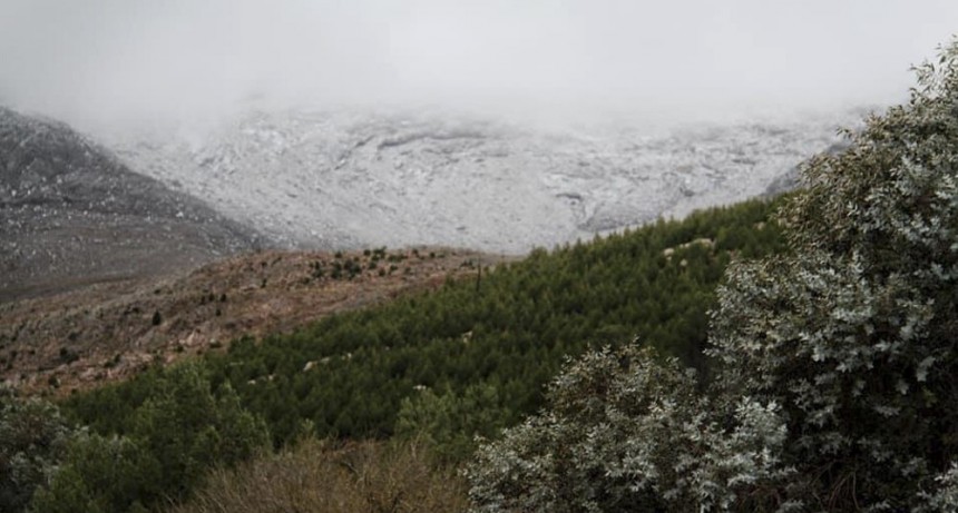  Los cerros de Sierra de la Ventana amanecieron con nieve en pleno febrero 