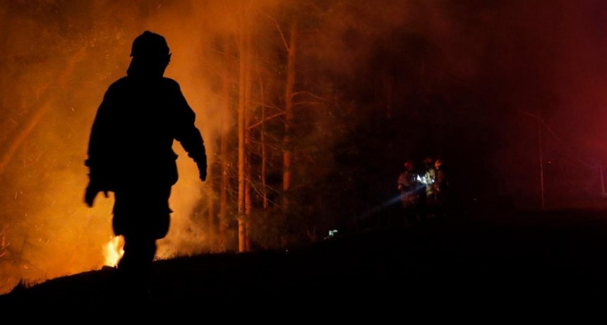 El costo de los incendios forestales en Chile fue de 309 millones de dólares 