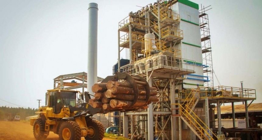  Biogás: una alternativa sustentable para satisfacer la demanda eléctrica a bajo costo 