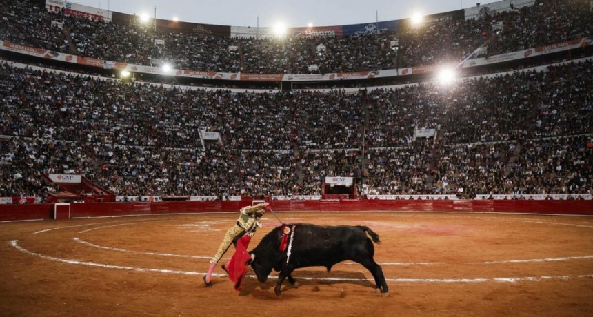  La justicia revirtió la suspensión de las corridas de toros en México 
