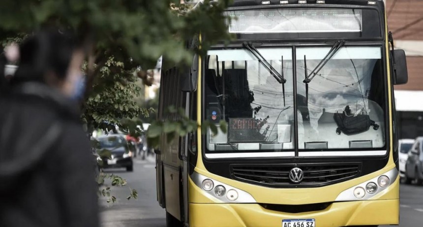  Ocho ciudades declararon 