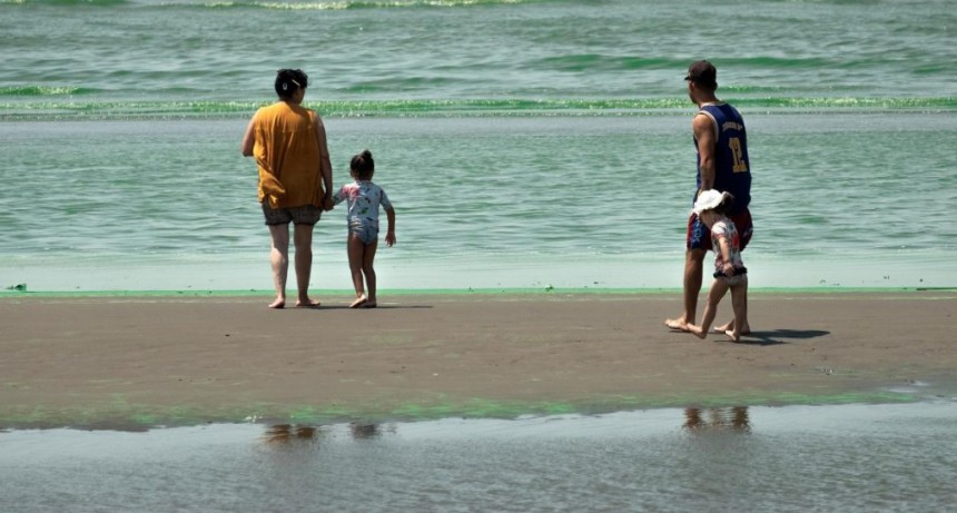  Emiten alertas por presencia de cianobacterias en balnearios del R&iacute;o de la Plata 