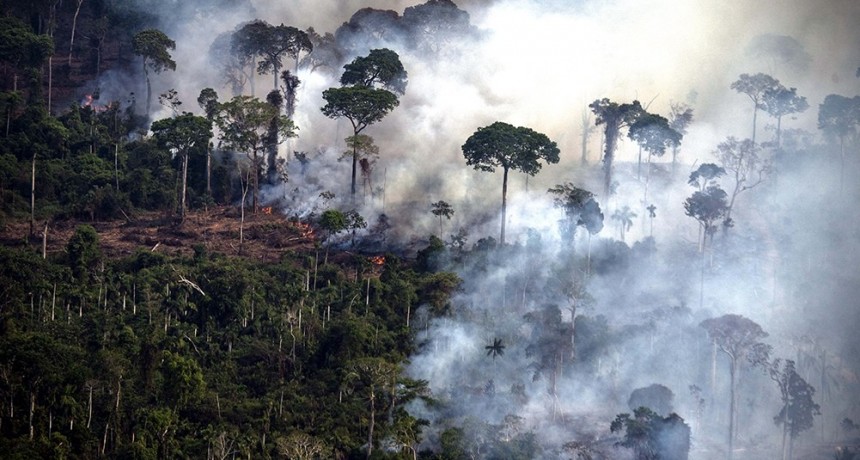  Los incendios en el Amazonas generaron un récord de emisiones de gases en Sudamérica 