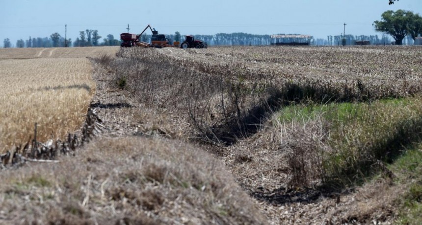  Agroindustriales: lanzaron créditos para las pymes impactadas por la sequía 