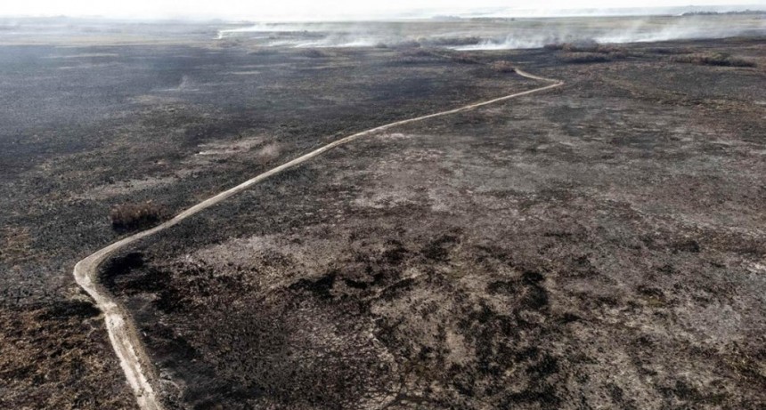  La sequía y el calor condicionan los rendimientos agrícolas 