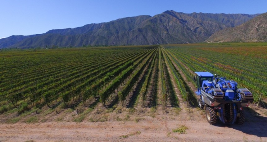  Aprobaron un crédito del BID por US$ 40 millones para pequeños productores vitivinícolas 