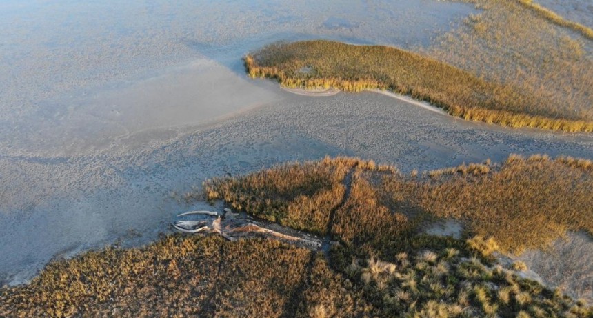  Parques Nacionales creó una nueva área protegida en San Clemente del Tuyú 