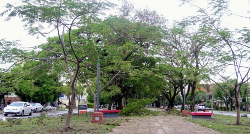  Mendoza: temporal de agua y granizo causó daños en viviendas y zonas productivas 