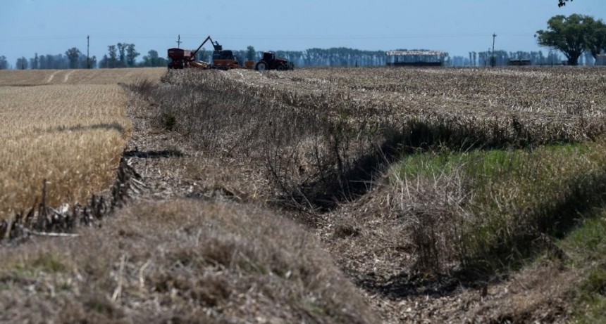  Tras el fin de La Niña, la región pampeana necesita una caída de 200 a 300 milímetros de agua 