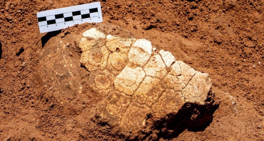  Hallaron restos de un gliptodonte a 50 metros del Museo de Ciencias Naturales 
