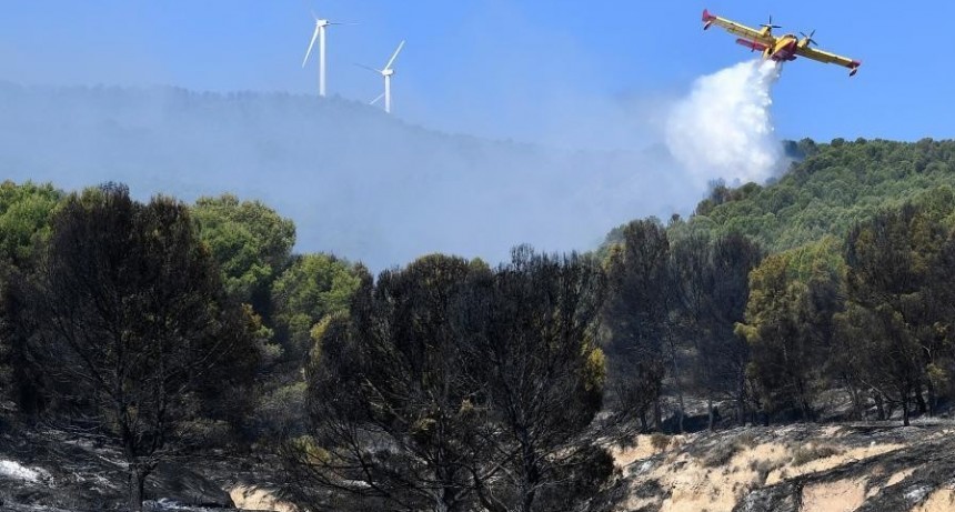  España: avanza sin control el primer gran incendio forestal del año 