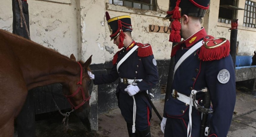  Los detalles de la vida de los caballos de los Granaderos que escoltan a los presidentes 