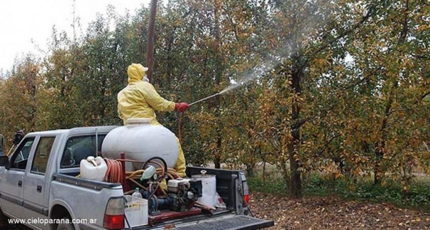  Emergencia agropecuaria en Mendoza por granizo y fitosanitaria en Río Negro 