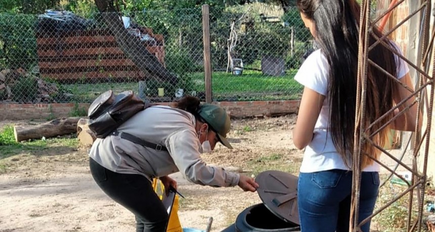  Jujuy ya tiene 714 casos de dengue en lo que va del año 