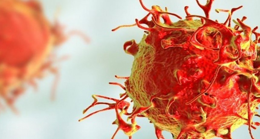  En 30 a&ntilde;os el diagn&oacute;stico de la leucemia m&aacute;s frecuente en hombres aument&oacute; el 35% 