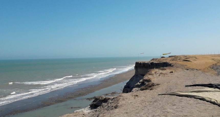  Rescataron a unos 300 delfines que estaban varados en el Golfo San Matías 
