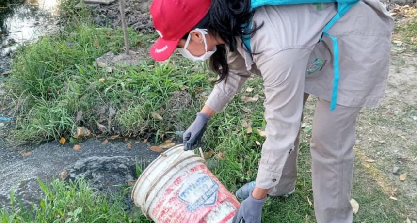  Ya son 1459 casos de dengue en Jujuy 